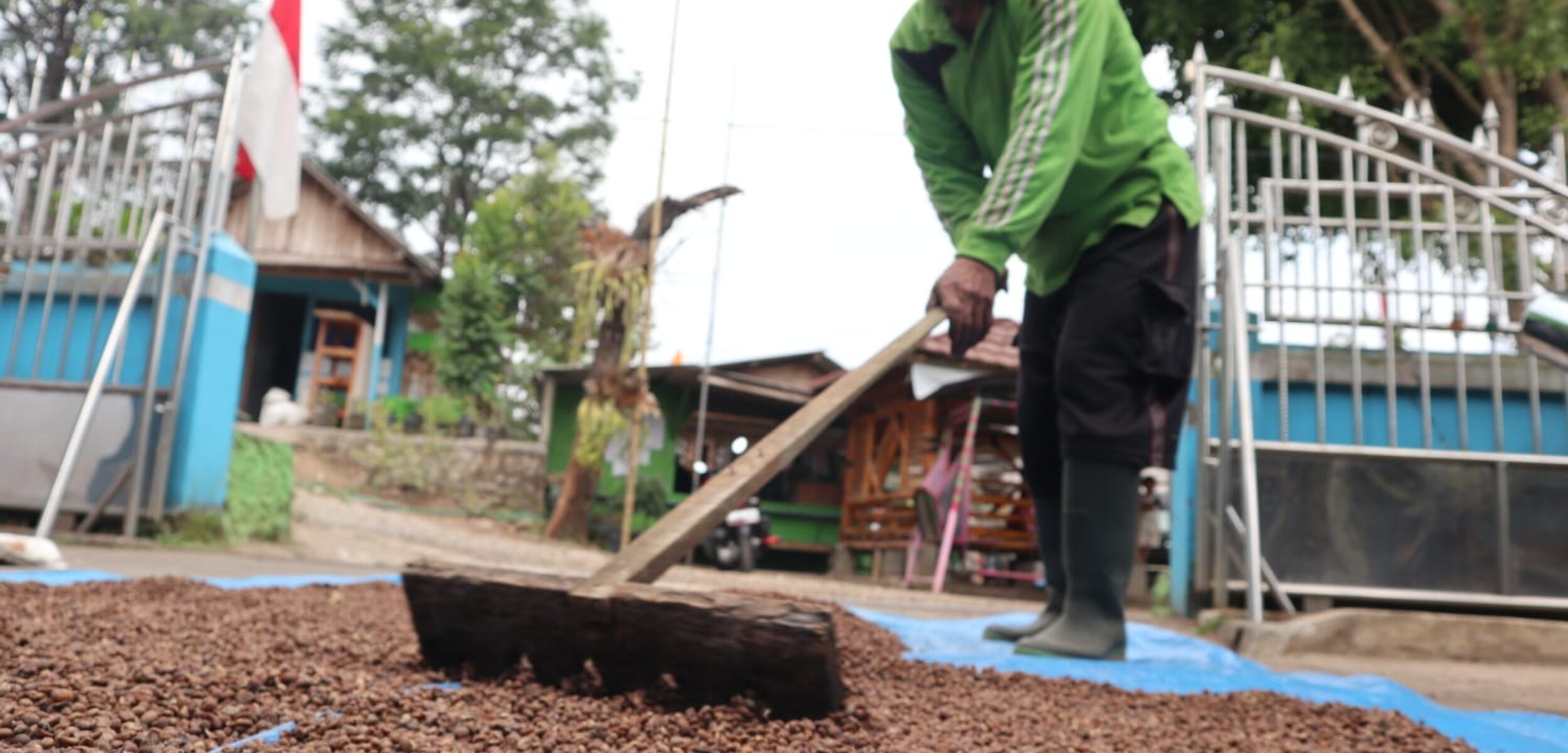 Kopi Bacem Madu Khas Wonosalam Jombang