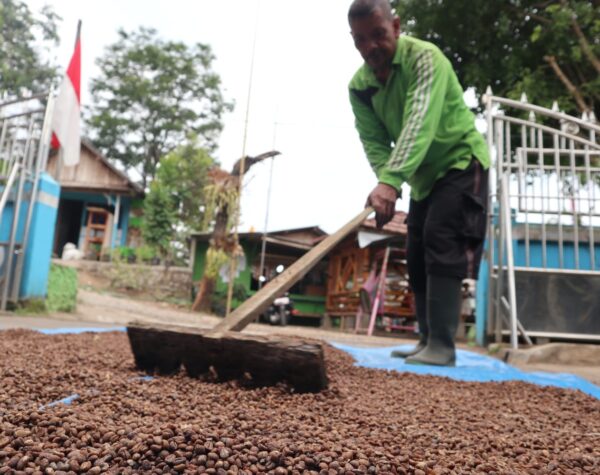Kopi Bacem Madu Khas Wonosalam Jombang