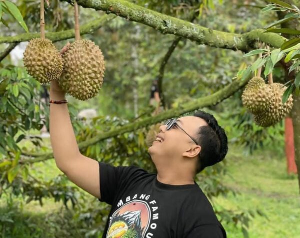 Pengunjung belajar memetik durian langsung di Wonosalam Durian Farm.