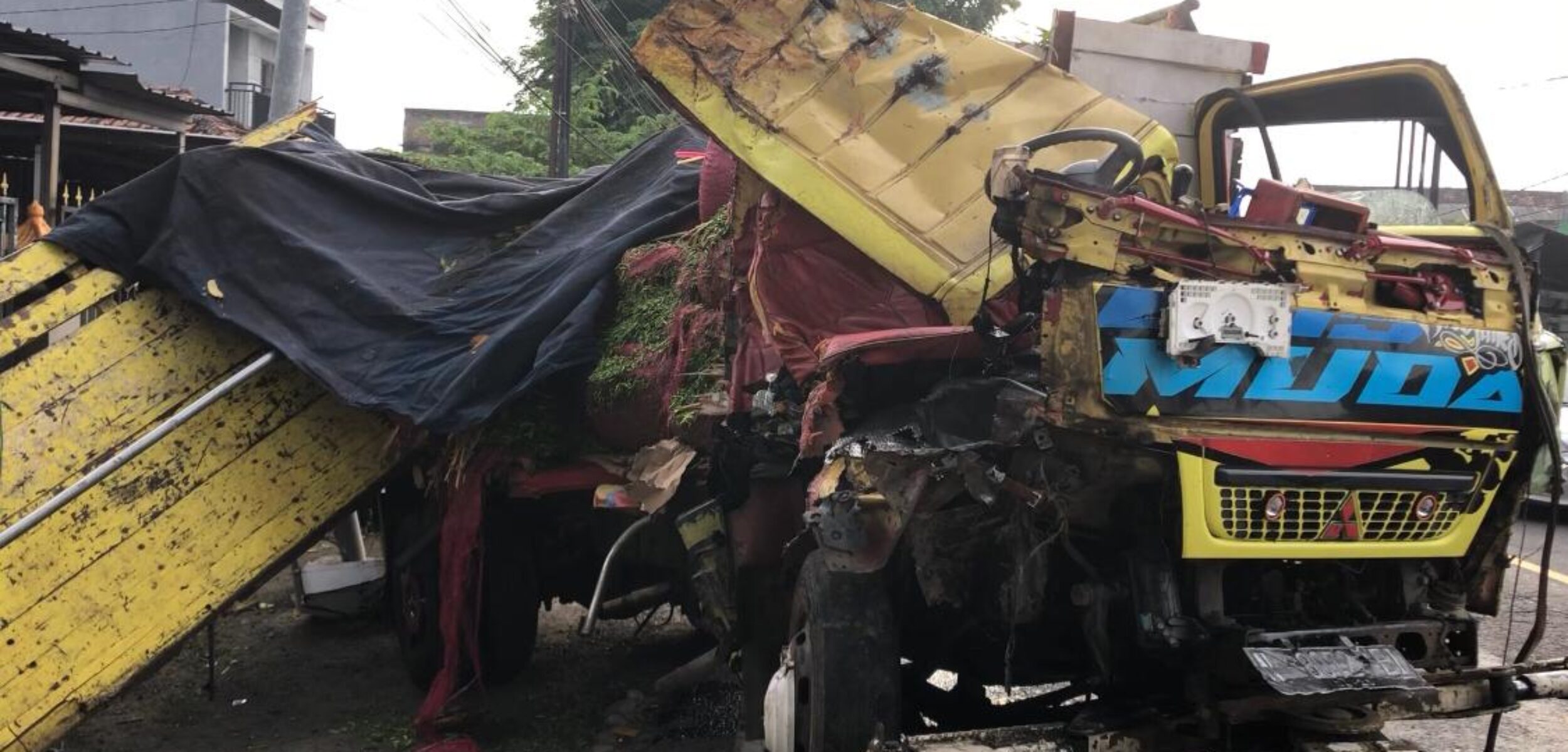 WhatsApp Image 2026 01 08 at 1.56.05 PM