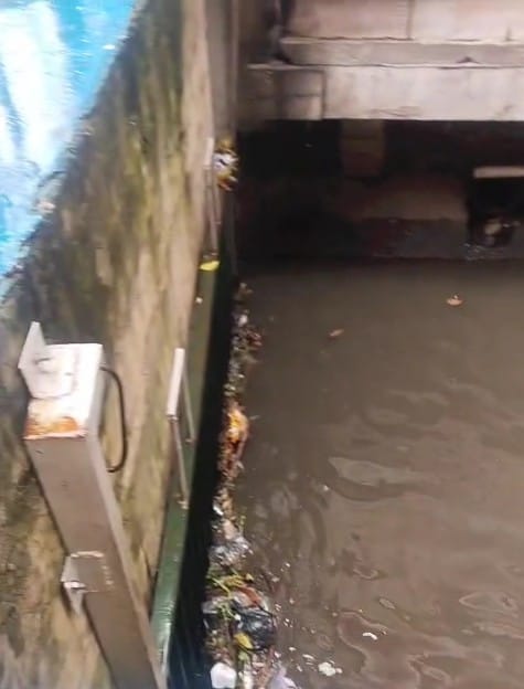 WhatsApp Image 2026 01 15 at 1.34.11 PM