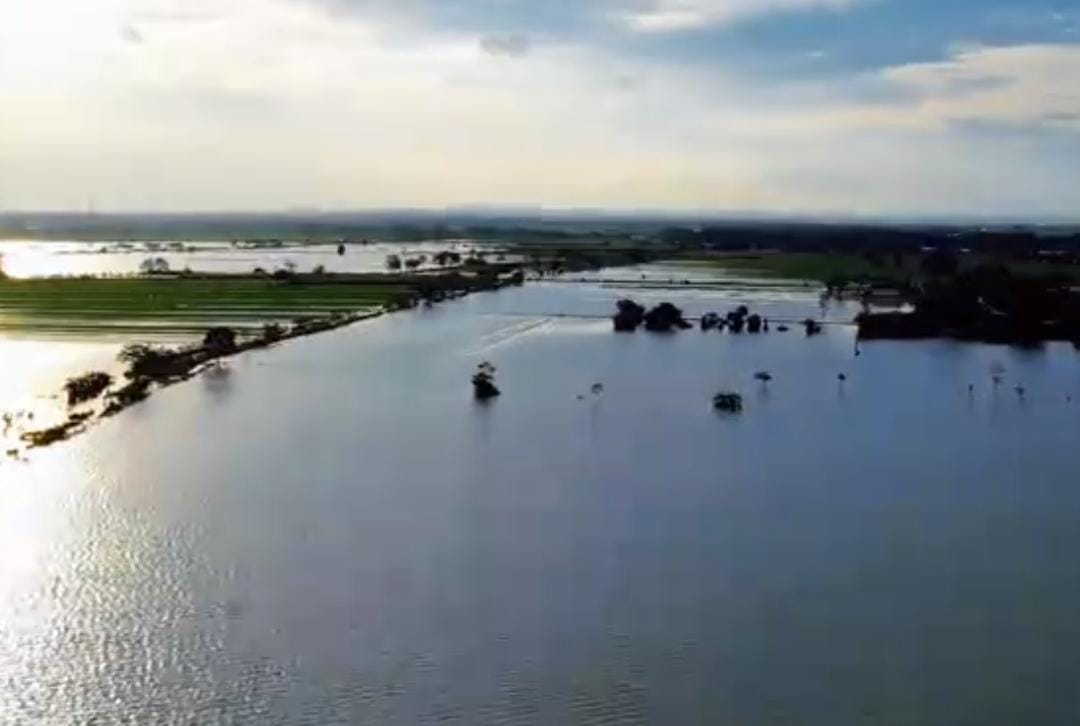 WhatsApp Image 2026 01 18 at 10.26.15 AM 1 hektare