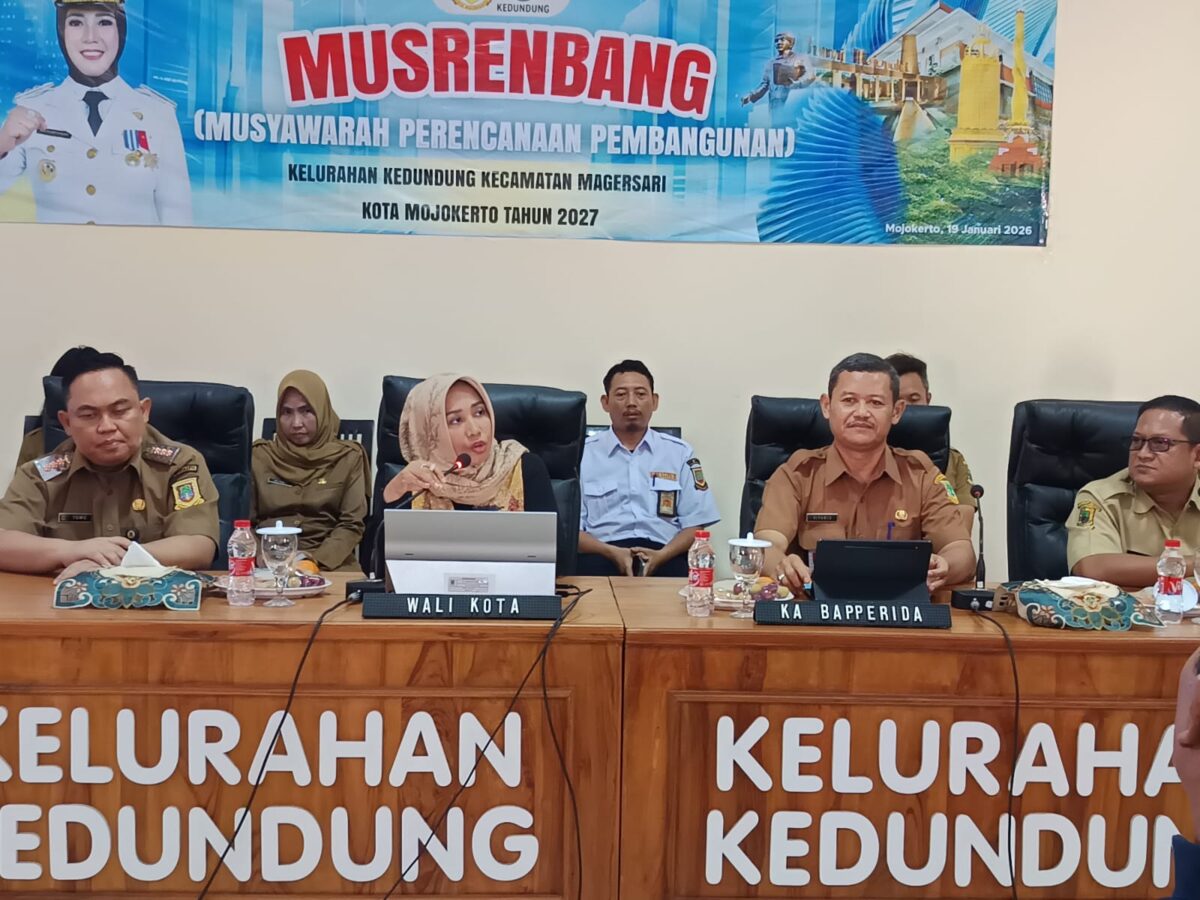 WhatsApp Image 2026 01 19 at 3.24.24 PM