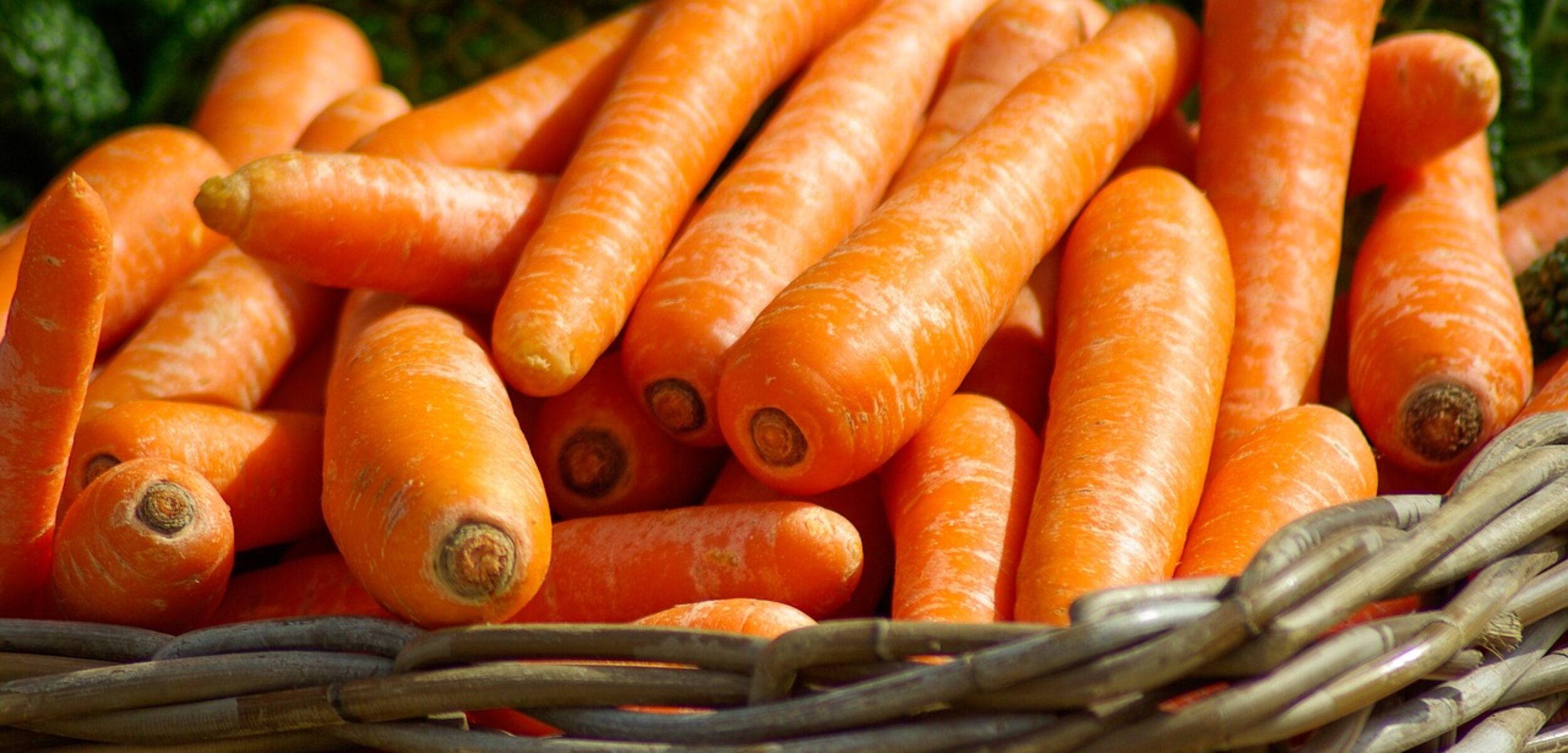 sayuran apa yang paling murah