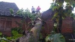 Cuaca Ekstrem di DIY, Sleman Wilayah Paling Banyak Terdampak Kerusakan