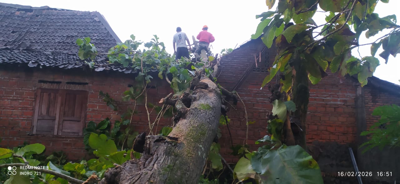 205D8E82 56A8 442E AFF4 86AA121097EE 1 sleman