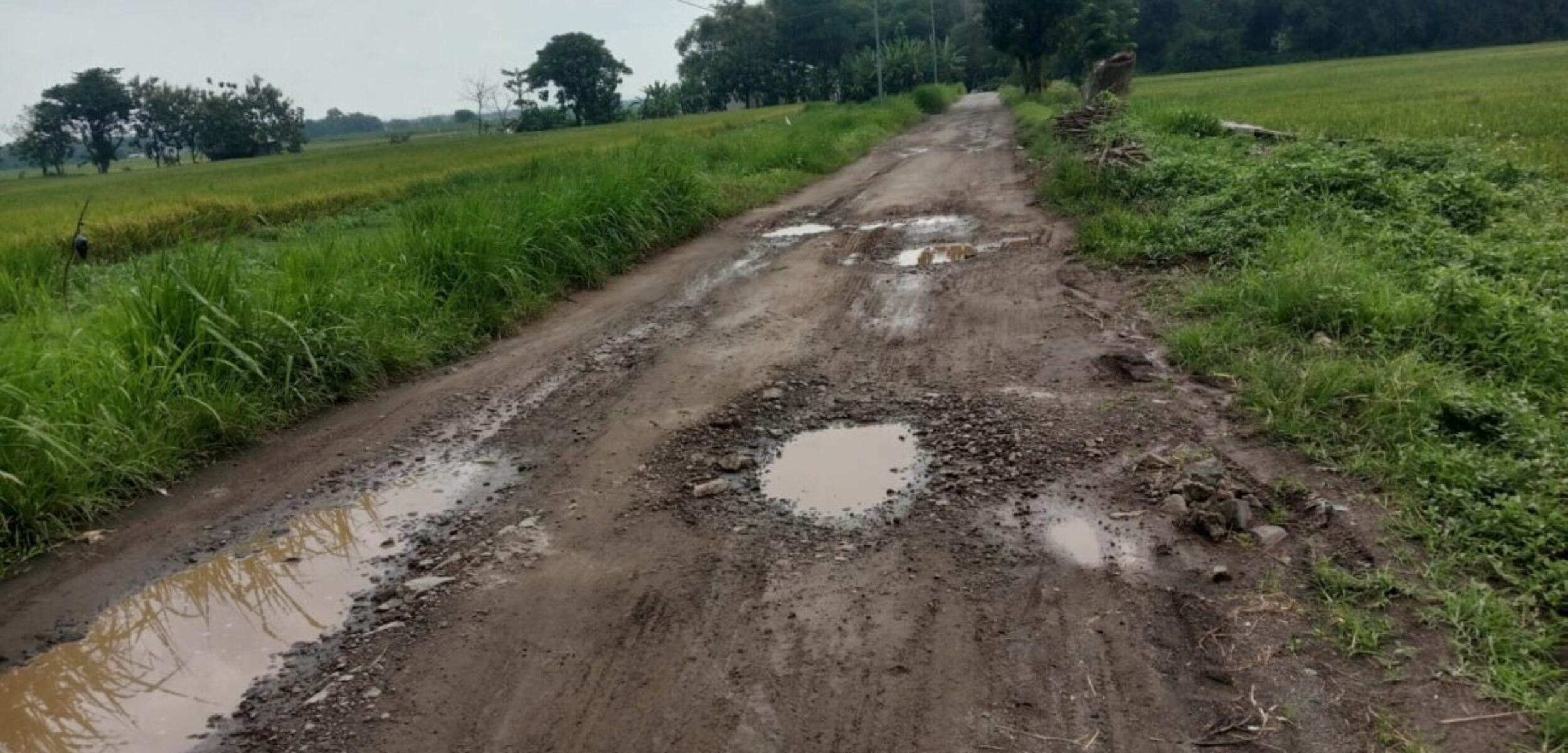 Warga Kutorejo Mojokerto Protes Jalan Desa Rusak Bertahun-tahun