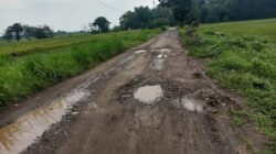 Warga Kutorejo Mojokerto Protes Jalan Desa Rusak Bertahun-tahun