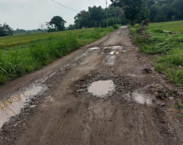 Warga Kutorejo Mojokerto Protes Jalan Desa Rusak Bertahun-tahun