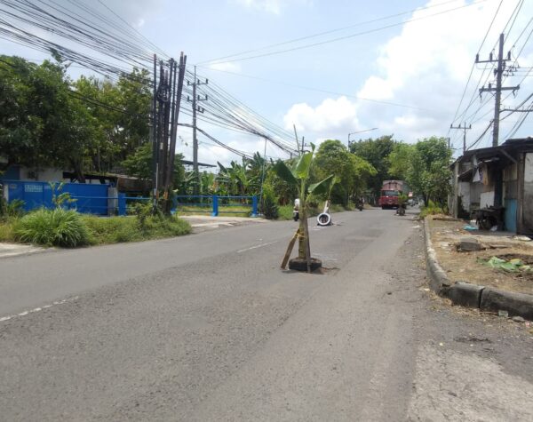 Jalan Berbahaya di Sidoarjo, Warga Pilih Pohon Pisang sebagai Penanda