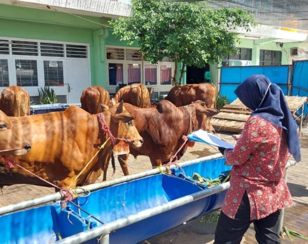 Stok Aman Jelang Lebaran, RPH Surabaya Imbau Warga Tak Panic Buying Daging Sapi