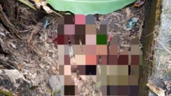 Jasad Diduga Ibu dan Anak Ditemukan Tragis di Lubang Bekas Asrama Polisi Jombang, Begini Kondisinya