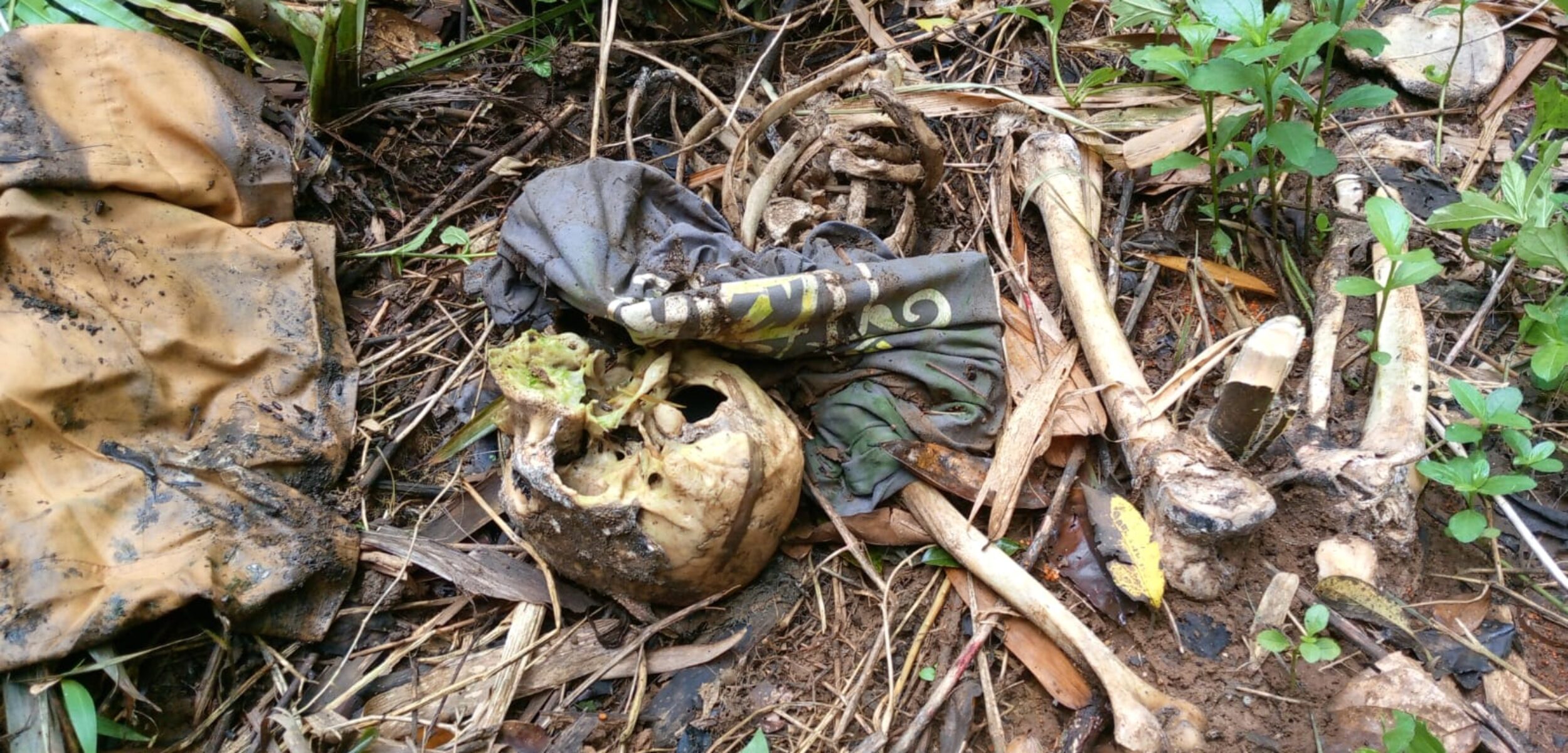 ‎Geger! Warga Simpenan Sukabumi Temukan Tengkorak Manusia di Kebun