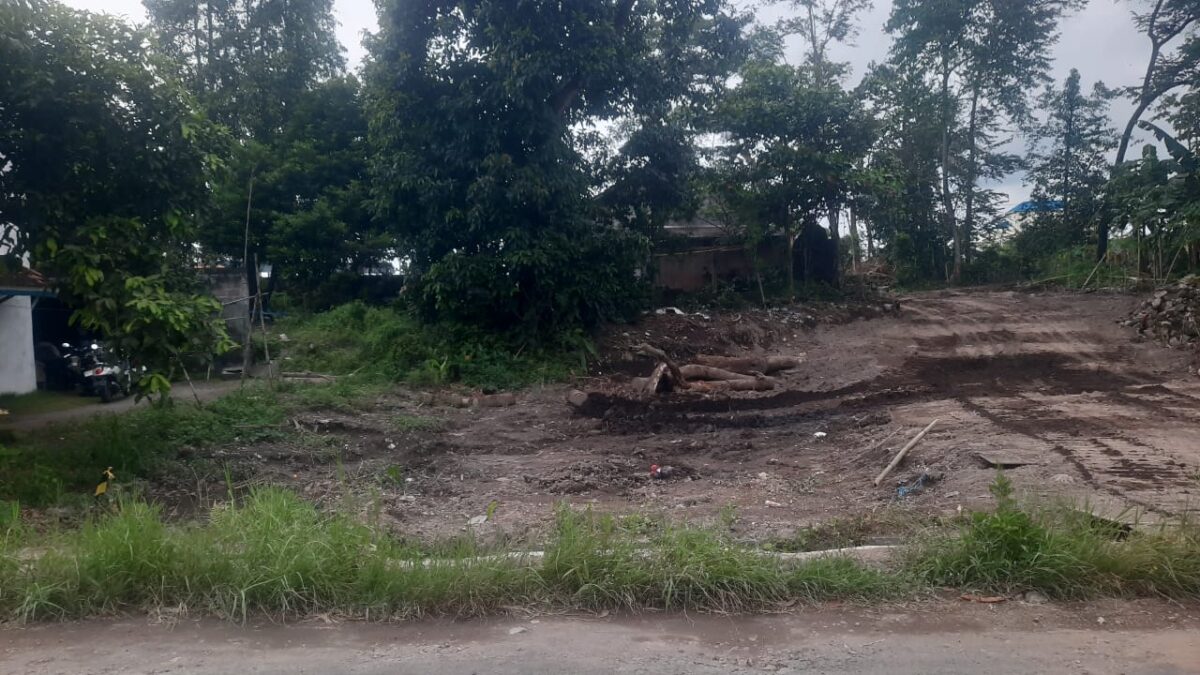 WhatsApp Image 2026 02 04 at 7.52.04 AM