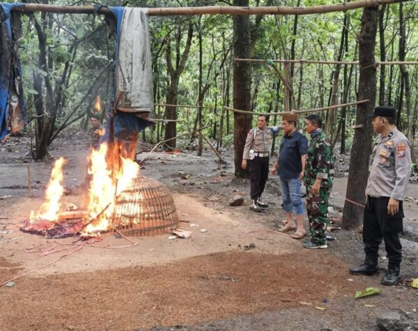 Arena Sabung Ayam Illegal di Jombang Dihanguskan Polisi