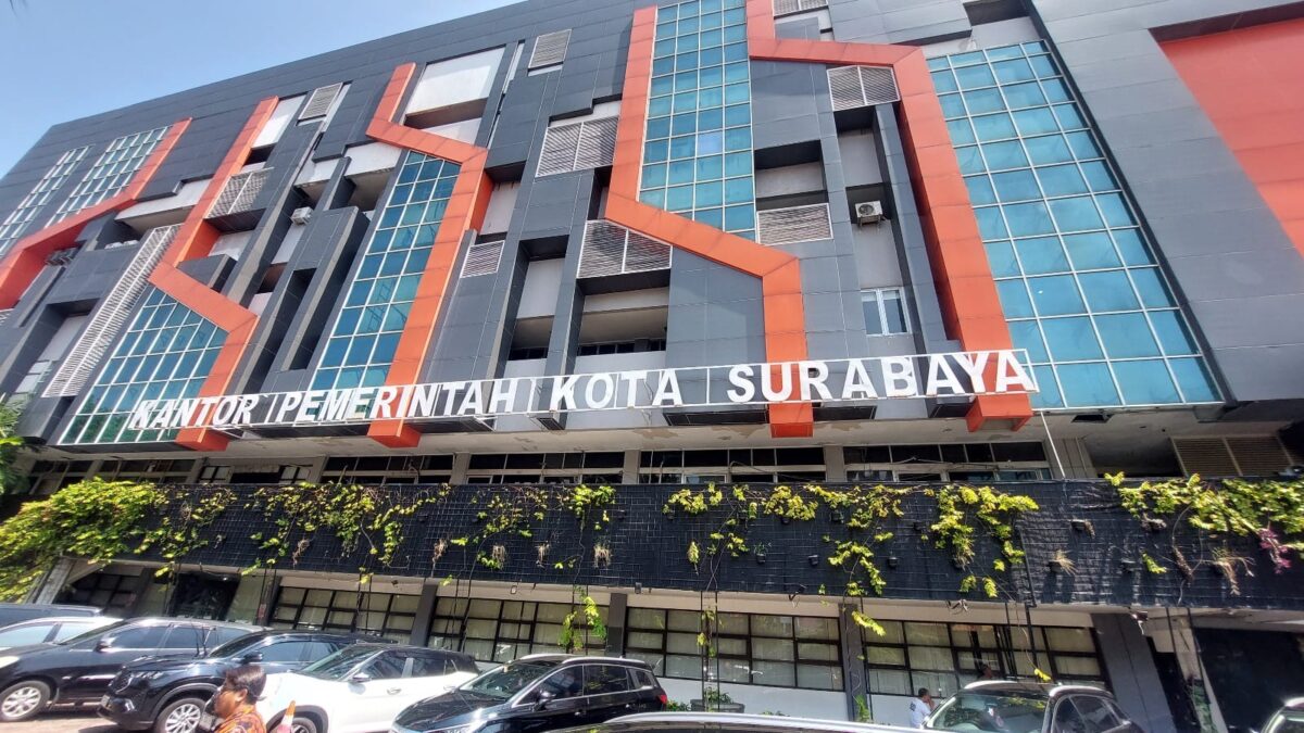 WhatsApp Image 2026 02 16 at 10.59.42 AM