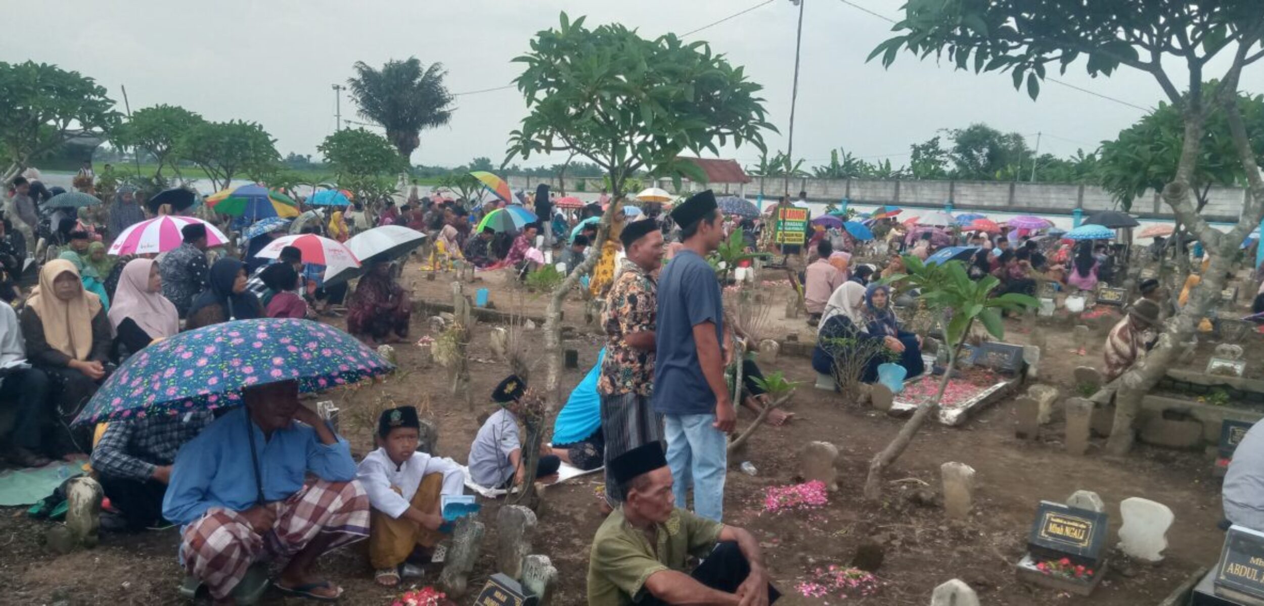 WhatsApp Image 2026 02 17 at 11.11.19 AM