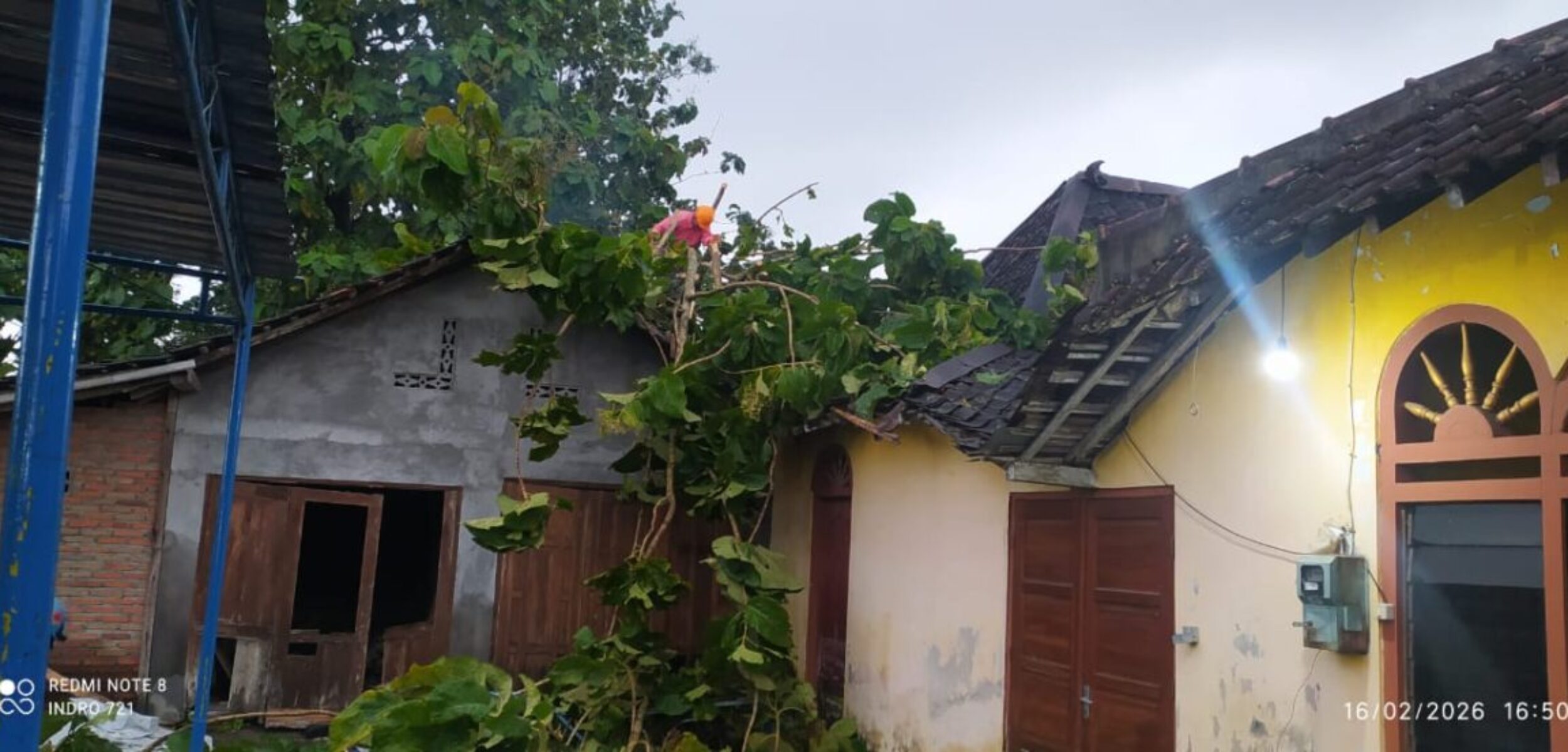 WhatsApp Image 2026 02 17 at 2.01.11 PM 2 WhatsApp Image 2026 02 17 at 2.01.11 PM