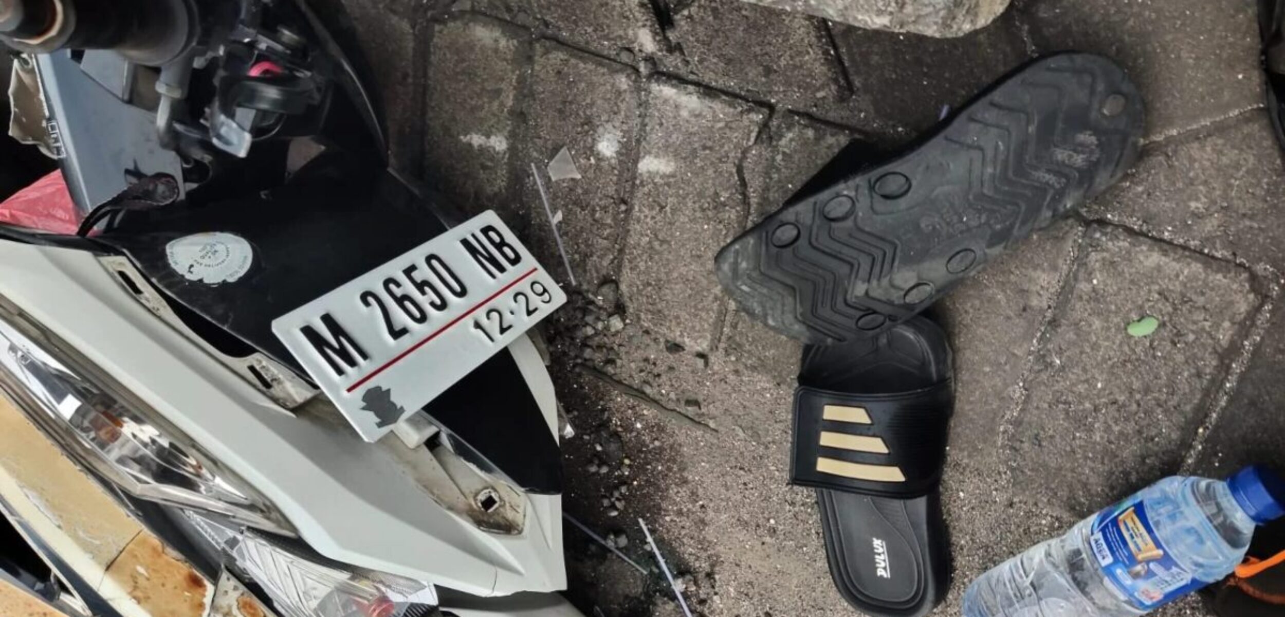 WhatsApp Image 2026 02 17 at 5.12.18 PM