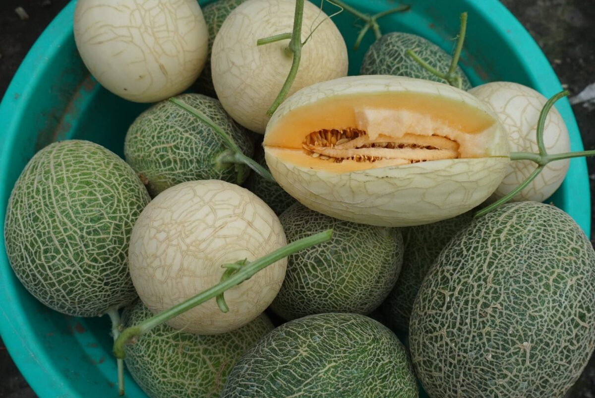 WhatsApp Image 2026 02 19 at 1.27.56 PM