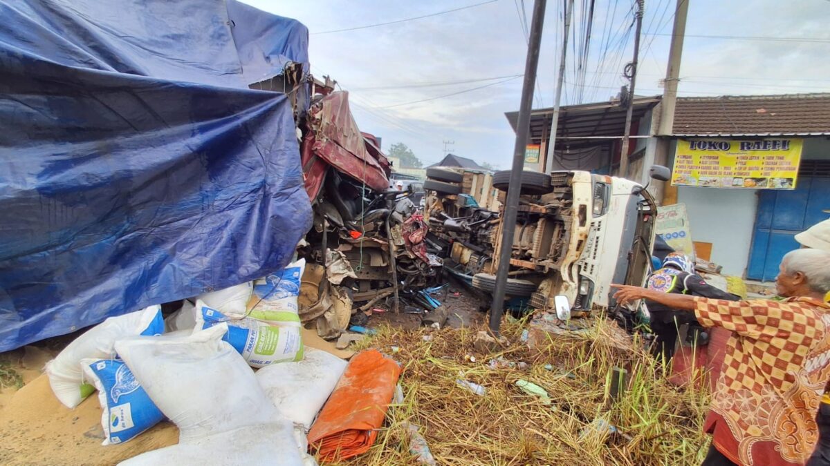 WhatsApp Image 2026 02 19 at 10.35.02 AM