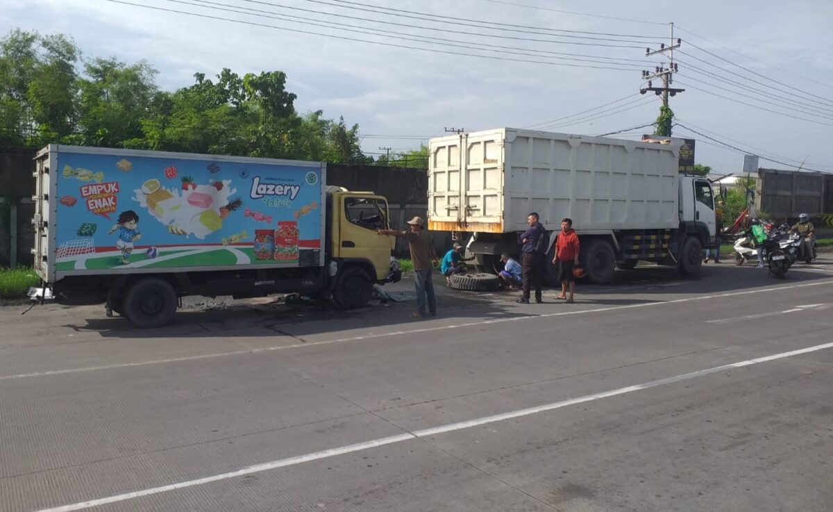 WhatsApp Image 2026 02 19 at 12.47.47 PM 2 WhatsApp Image 2026 02 19 at 12.47.47 PM