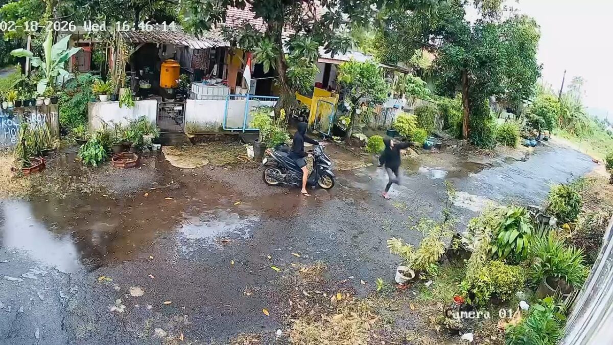 WhatsApp Image 2026 02 20 at 10.17.01 AM