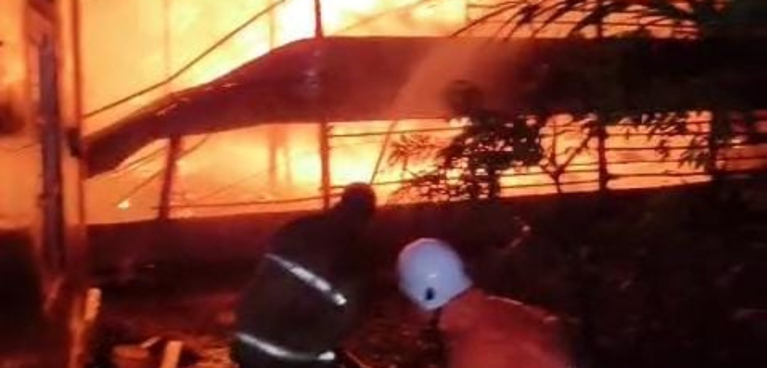 WhatsApp Image 2026 02 22 at 11.36.27 AM 1 ayam