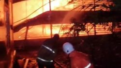 Kandang Ayam di Jatirejo Mojokerto Terbakar Hebat, 30 Ribu Ekor Mati Terpanggang