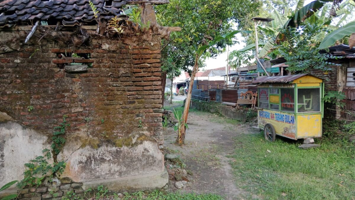 WhatsApp Image 2026 02 23 at 1.20.39 PM