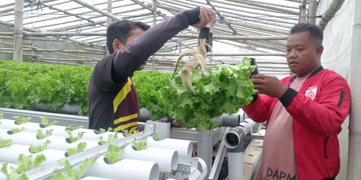 WhatsApp Image 2026 02 23 at 11.37.27 AM 2 WhatsApp Image 2026 02 23 at 11.37.27 AM