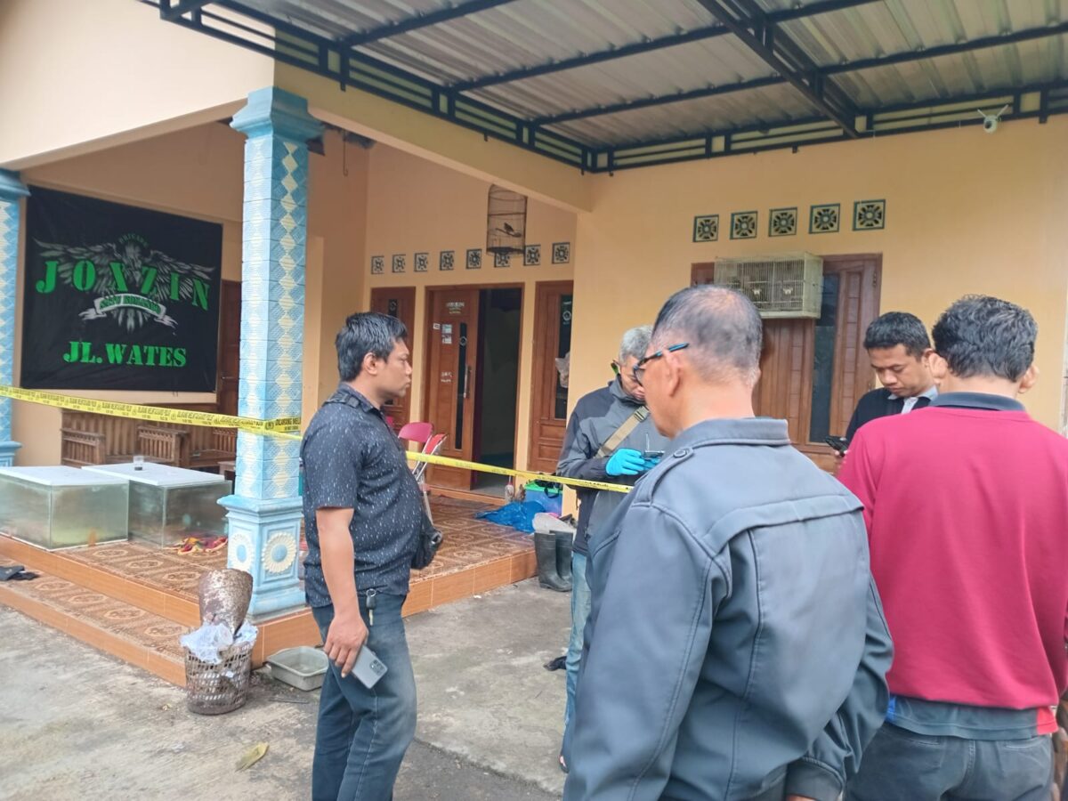 WhatsApp Image 2026 02 25 at 1.24.29 PM