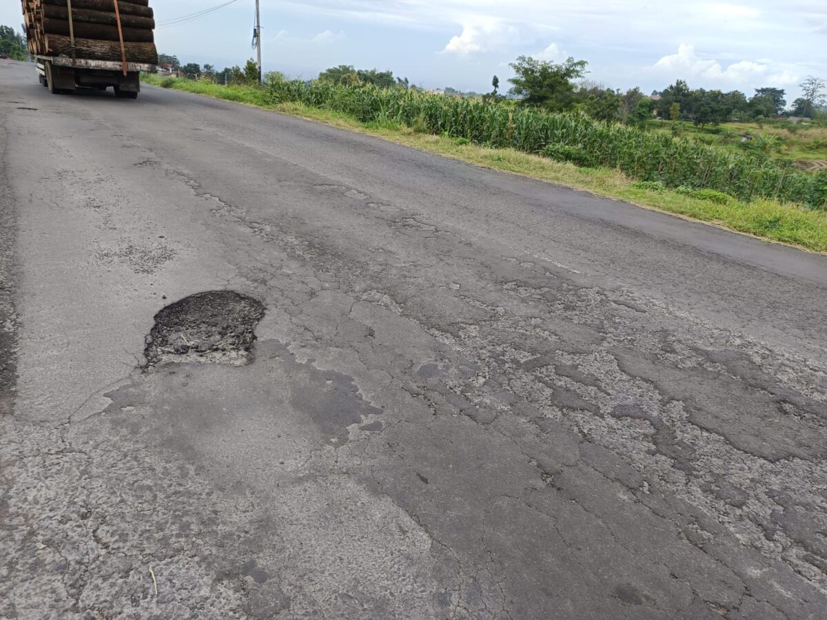 WhatsApp Image 2026 02 26 at 12.19.59 PM 2 WhatsApp Image 2026 02 26 at 12.19.59 PM