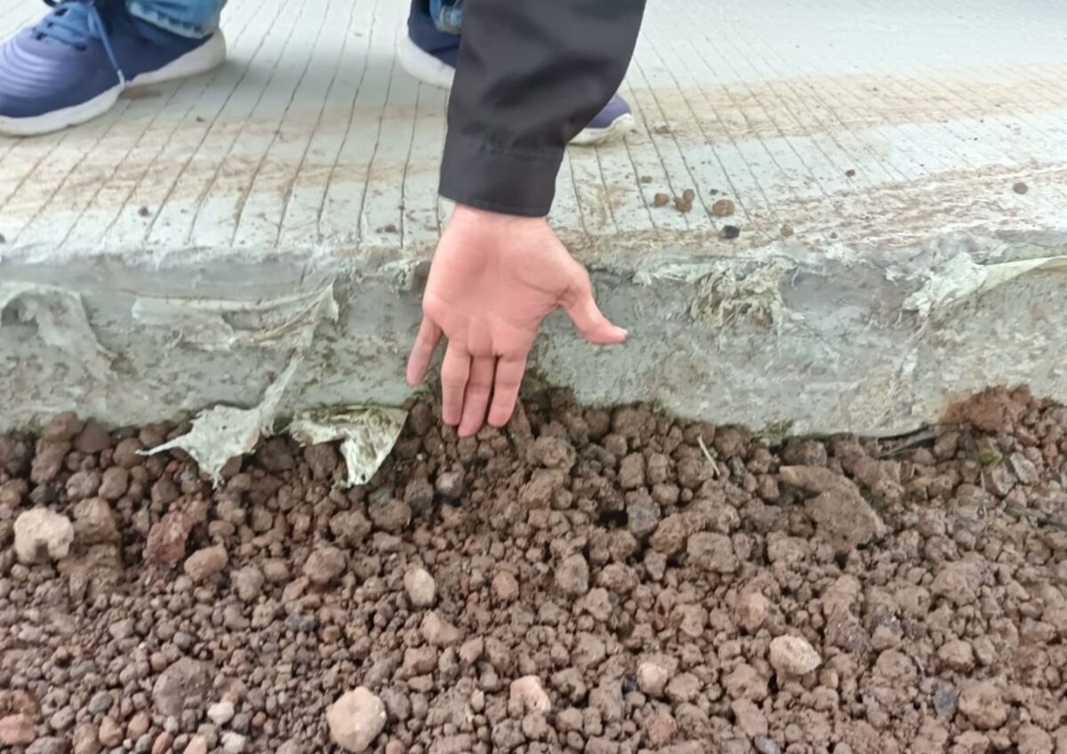 image 2026 02 22T110600.984 2 image 2026 02 22T110600.984