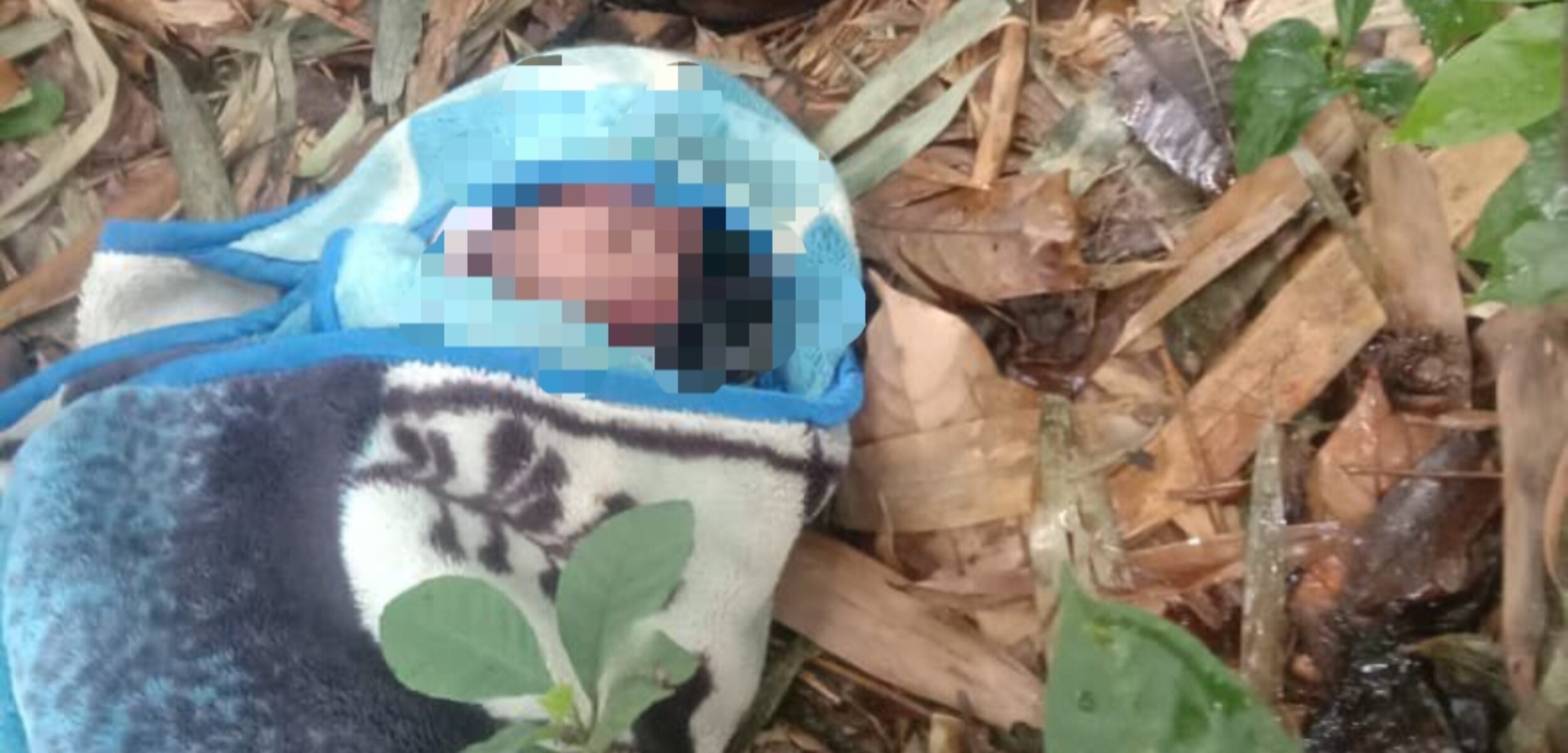 IMG 20260302 214136 253