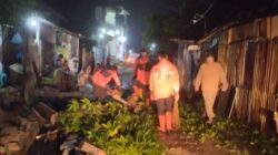 Akibat Angin Kencang di Sidoarjo, 13 Rumah Rusak dan Pohon Tumbang