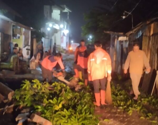 Akibat Angin Kencang di Sidoarjo, 13 Rumah Rusak dan Pohon Tumbang