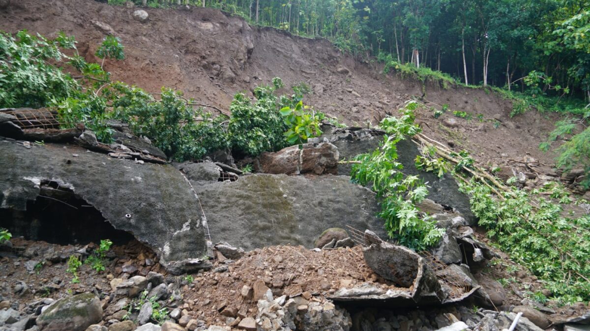 WhatsApp Image 2026 03 04 at 1.30.51 PM 2 WhatsApp Image 2026 03 04 at 1.30.51 PM